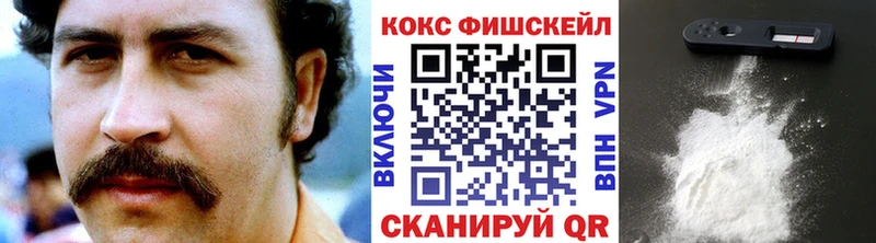 магазин продажи   Семёнов  Cocaine Fish Scale 