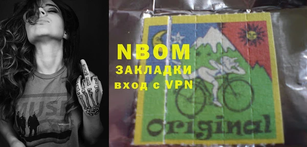ПСИЛОЦИБИНОВЫЕ ГРИБЫ Арсеньев
