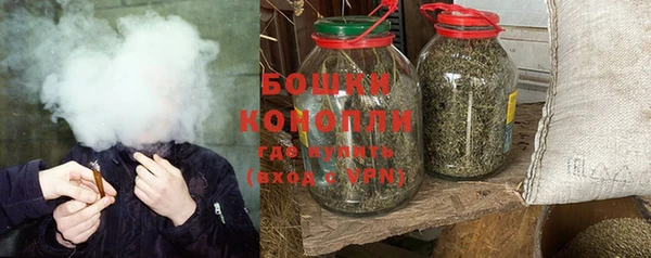ПСИЛОЦИБИНОВЫЕ ГРИБЫ Арсеньев