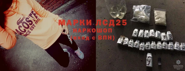 ПСИЛОЦИБИНОВЫЕ ГРИБЫ Арсеньев