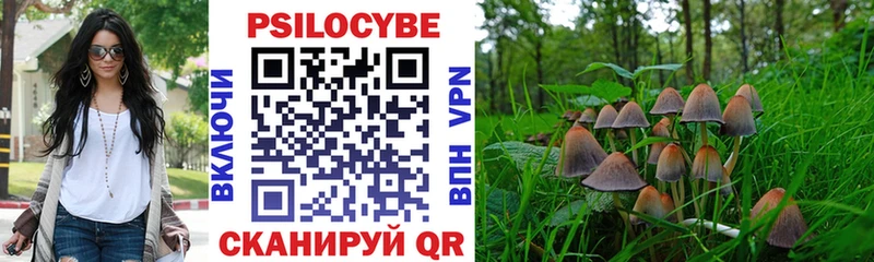Псилоцибиновые грибы Psilocybe  как найти наркотики  Семёнов 